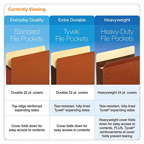 Minimalist Pendaflex Expanding File Pockets, Letter Size, 5.25" Expansion,